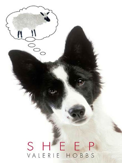 Cover image for Sheep